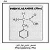     Phenylalanine, Phe